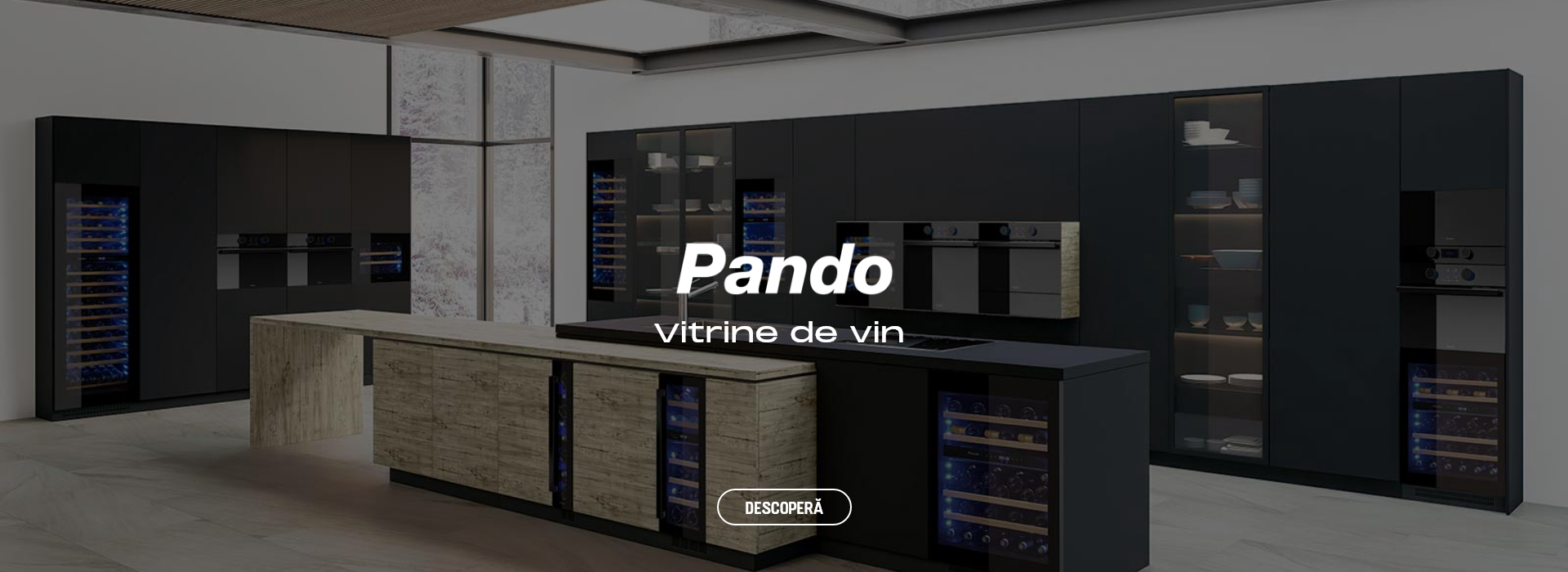 Vitrine de vin Pando