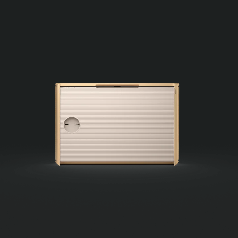 Boxa compacta Bang & Olufsen Beosound Level, Wi-Fi, Gold Tone