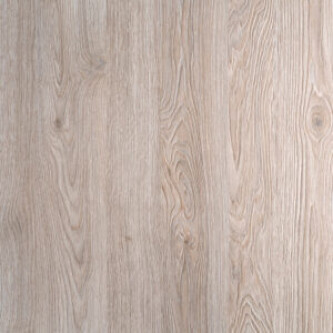 Rovere cenere AM